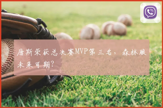 唐斯荣获总决赛MVP第三名，森林狼未来可期？